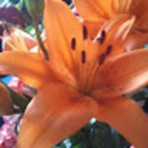 Meet your Posher, Kendra